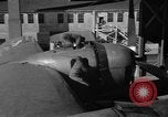 Standbild B-29 Superfortress Kansas United States USA, 1946, aus Sekunde 48 historischem Filmmaterial Videoclip 65675072622