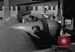 Standbild B-29 Superfortress Kansas United States USA, 1946, aus Sekunde 49 historischem Filmmaterial Videoclip 65675072622