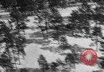 Immagine di L-5 Sentinel Kansas United States USA, 1946, secondo 58 filmato di repertorio 65675072629