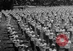 Standbild elektrische Prüfung United States USA, 1943, aus Sekunde 29 historischem Filmmaterial Videoclip 65675072636