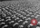 Standbild elektrische Prüfung United States USA, 1943, aus Sekunde 34 historischem Filmmaterial Videoclip 65675072636
