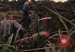 Standbild Wiederherstellung von LB-7 Bluefields Nicaragua, 1969, aus Sekunde 3 historischem Filmmaterial Videoclip 65675072638