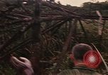 Standbild Wiederherstellung von LB-7 Bluefields Nicaragua, 1969, aus Sekunde 9 historischem Filmmaterial Videoclip 65675072638