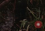 Standbild Wiederherstellung von LB-7 Bluefields Nicaragua, 1969, aus Sekunde 49 historischem Filmmaterial Videoclip 65675072638