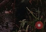 Standbild Wiederherstellung von LB-7 Bluefields Nicaragua, 1969, aus Sekunde 50 historischem Filmmaterial Videoclip 65675072638