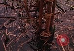 Standbild Wiederherstellung von LB-7 Bluefields Nicaragua, 1969, aus Sekunde 57 historischem Filmmaterial Videoclip 65675072638