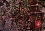 Standbild Wiederherstellung von LB-7 Bluefields Nicaragua, 1969, aus Sekunde 61 historischem Filmmaterial Videoclip 65675072638