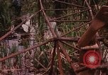 Standbild Wiederherstellung von LB-7 Bluefields Nicaragua, 1969, aus Sekunde 62 historischem Filmmaterial Videoclip 65675072638