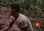 Image Récupération des LB-7 Bluefields au Nicaragua, 1969, de la seconde 42 séquences d'archives historiques vidéo 65675072640
