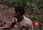 Image Récupération des LB-7 Bluefields au Nicaragua, 1969, de la seconde 43 séquences d'archives historiques vidéo 65675072640