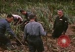 Standbild Wiederherstellung von LB-7 Schmutz Bluefields Nicaragua, 1969, aus Sekunde 14 historischem Filmmaterial Videoclip 65675072642