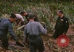 Standbild Wiederherstellung von LB-7 Schmutz Bluefields Nicaragua, 1969, aus Sekunde 15 historischem Filmmaterial Videoclip 65675072642