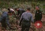 Standbild Wiederherstellung von LB-7 Schmutz Bluefields Nicaragua, 1969, aus Sekunde 17 historischem Filmmaterial Videoclip 65675072642