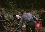Standbild Wiederherstellung von LB-7 Schmutz Bluefields Nicaragua, 1969, aus Sekunde 34 historischem Filmmaterial Videoclip 65675072642