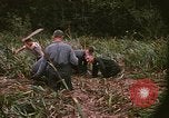 Standbild Wiederherstellung von LB-7 Schmutz Bluefields Nicaragua, 1969, aus Sekunde 44 historischem Filmmaterial Videoclip 65675072642