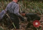 Standbild Wiederherstellung von LB-7 Schmutz Bluefields Nicaragua, 1969, aus Sekunde 50 historischem Filmmaterial Videoclip 65675072642