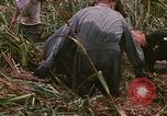 Standbild Wiederherstellung von LB-7 Schmutz Bluefields Nicaragua, 1969, aus Sekunde 54 historischem Filmmaterial Videoclip 65675072642