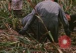 Standbild Wiederherstellung von LB-7 Schmutz Bluefields Nicaragua, 1969, aus Sekunde 55 historischem Filmmaterial Videoclip 65675072642