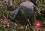 Standbild Wiederherstellung von LB-7 Schmutz Bluefields Nicaragua, 1969, aus Sekunde 57 historischem Filmmaterial Videoclip 65675072642