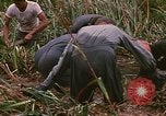 Standbild Wiederherstellung von LB-7 Schmutz Bluefields Nicaragua, 1969, aus Sekunde 60 historischem Filmmaterial Videoclip 65675072642