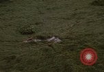 Standbild Wiederherstellung von LB-7 Bluefields Nicaragua, 1969, aus Sekunde 33 historischem Filmmaterial Videoclip 65675072643