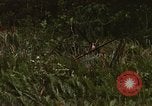 Standbild Wiederherstellung von LB-7 Bluefields Nicaragua, 1969, aus Sekunde 52 historischem Filmmaterial Videoclip 65675072643