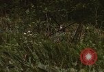 Standbild Wiederherstellung von LB-7 Bluefields Nicaragua, 1969, aus Sekunde 53 historischem Filmmaterial Videoclip 65675072643