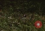 Standbild Wiederherstellung von LB-7 Bluefields Nicaragua, 1969, aus Sekunde 54 historischem Filmmaterial Videoclip 65675072643