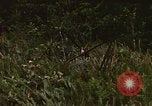 Standbild Wiederherstellung von LB-7 Bluefields Nicaragua, 1969, aus Sekunde 55 historischem Filmmaterial Videoclip 65675072643