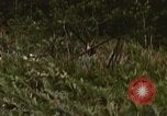 Standbild Wiederherstellung von LB-7 Bluefields Nicaragua, 1969, aus Sekunde 56 historischem Filmmaterial Videoclip 65675072643