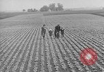 Image of cannery labors strike Racine Wisconsin USA, 1938, second 13 stock footage video 65675072649