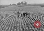 Image of cannery labors strike Racine Wisconsin USA, 1938, second 14 stock footage video 65675072649