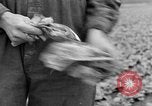 Image of cannery labors strike Racine Wisconsin USA, 1938, second 18 stock footage video 65675072649