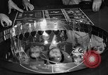 Image of gambling ship Santa Monica California USA, 1938, second 46 stock footage video 65675072653