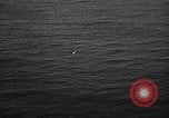 Image of aerial torpedo attack United States USA, 1944, second 31 stock footage video 65675072656