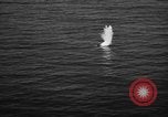 Image of aerial torpedo attack United States USA, 1944, second 32 stock footage video 65675072656