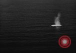 Image of aerial torpedo attack United States USA, 1944, second 55 stock footage video 65675072657