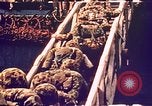 Image of Battle of Tarawa Tarawa Gilbert Islands, 1943, second 35 stock footage video 65675072662