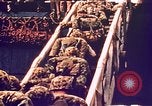 Image of Battle of Tarawa Tarawa Gilbert Islands, 1943, second 36 stock footage video 65675072662