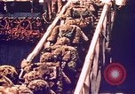 Image of Battle of Tarawa Tarawa Gilbert Islands, 1943, second 37 stock footage video 65675072662