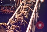 Image of Battle of Tarawa Tarawa Gilbert Islands, 1943, second 38 stock footage video 65675072662
