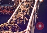 Image of Battle of Tarawa Tarawa Gilbert Islands, 1943, second 39 stock footage video 65675072662