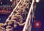 Image of Battle of Tarawa Tarawa Gilbert Islands, 1943, second 41 stock footage video 65675072662