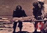 Image of Battle of Tarawa Tarawa Gilbert Islands, 1943, second 19 stock footage video 65675072663