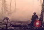 Image of Battle of Tarawa Tarawa Gilbert Islands, 1943, second 52 stock footage video 65675072663