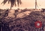 Image of Battle of Tarawa Tarawa Gilbert Islands, 1943, second 5 stock footage video 65675072664