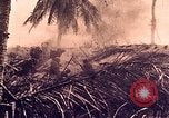 Image of Battle of Tarawa Tarawa Gilbert Islands, 1943, second 13 stock footage video 65675072664
