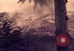 Image of Battle of Tarawa Tarawa Gilbert Islands, 1943, second 36 stock footage video 65675072664