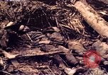 Image of Battle of Tarawa Tarawa Gilbert Islands, 1943, second 56 stock footage video 65675072664