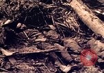 Image of Battle of Tarawa Tarawa Gilbert Islands, 1943, second 57 stock footage video 65675072664